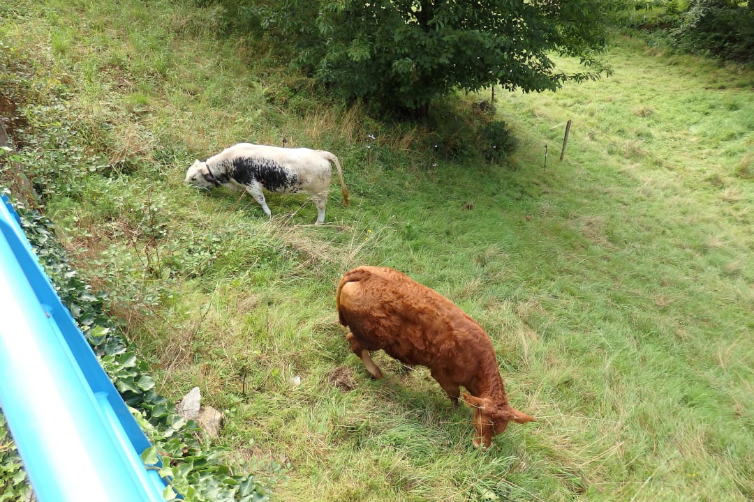 Bick vom Balkon Hotel Perle Des Vosges