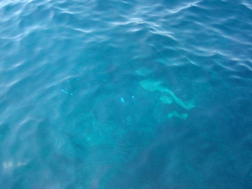 Das Meerwasser Delta Hotels By Marriott Bodrum