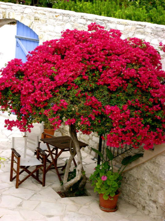 Hotel Skarinou Village House Hotel Traditional Village Houses