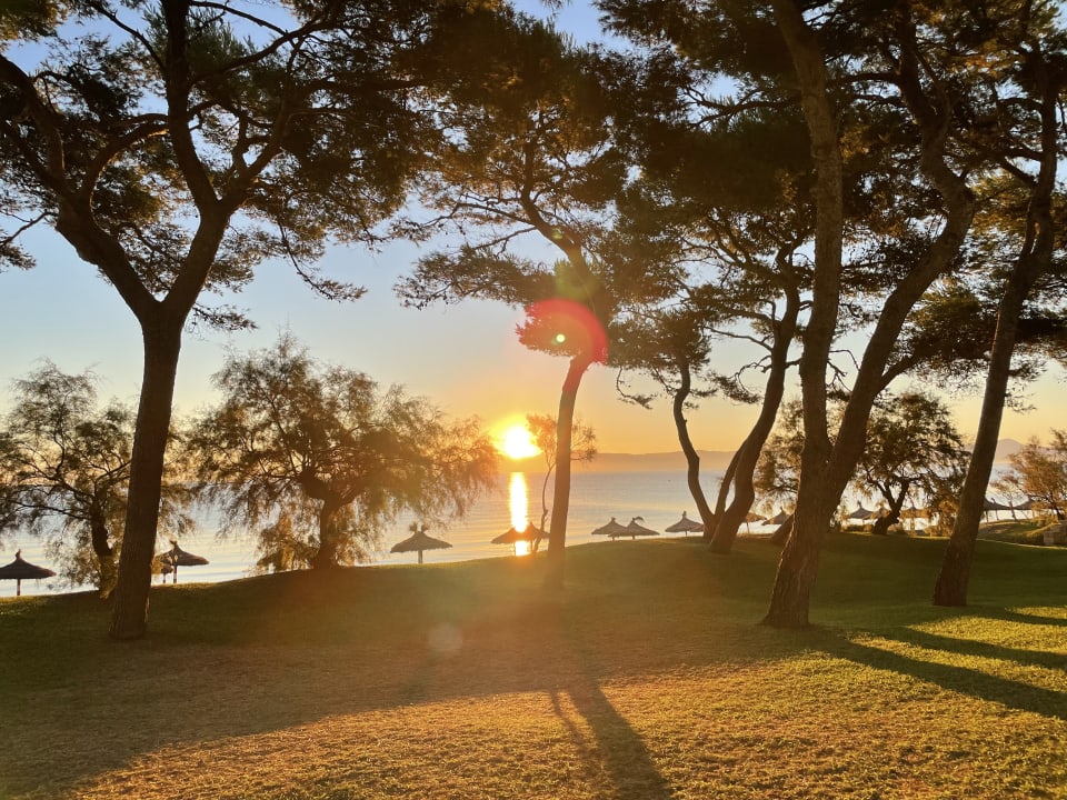 Ausblick Iberostar Waves Playa de Muro