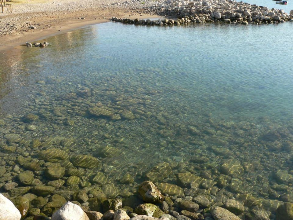 Каменистый пляж Hotel Citric Soller