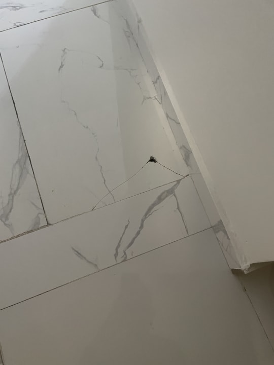 Zimmer Hotel Palmera Resort