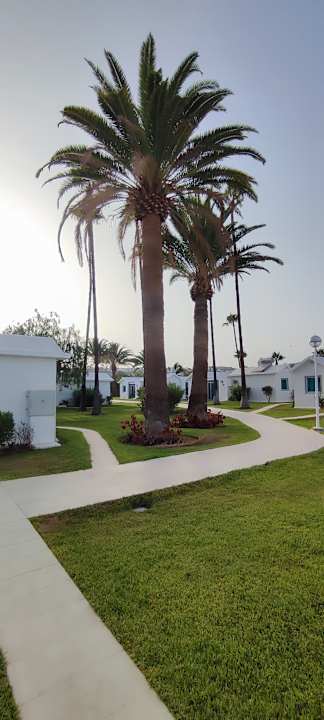 Gartenanlage Canary Garden Club