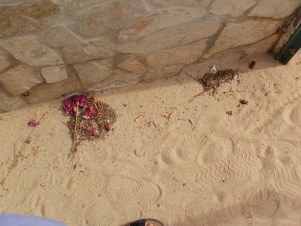 Zugang Strand SBH Costa Calma Beach Resort