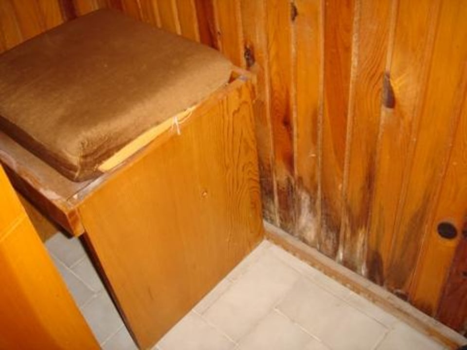 Hocker und Schimmel Clover Magic Nova Beach