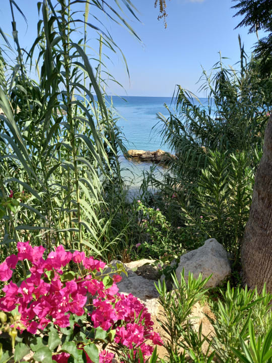 Ausblick Crystal Springs Beach Hotel