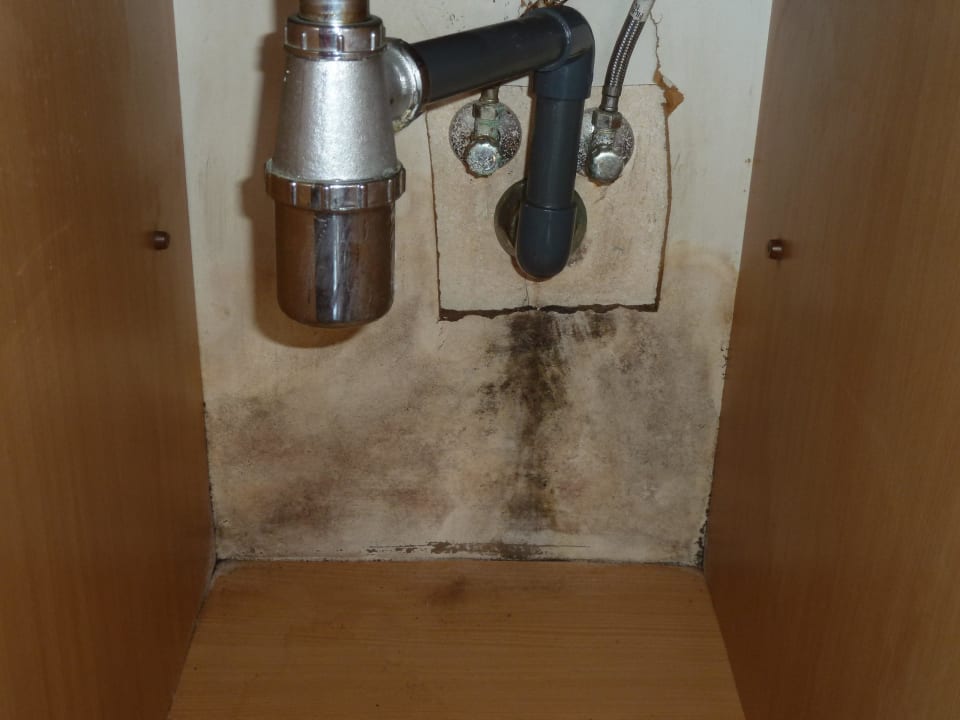 Villa, Küche Ralitsa Aqua Club