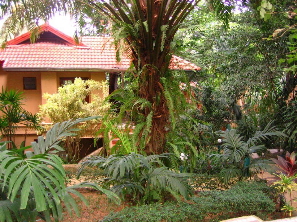 Gartenbungalow The Fair House Beach Resort