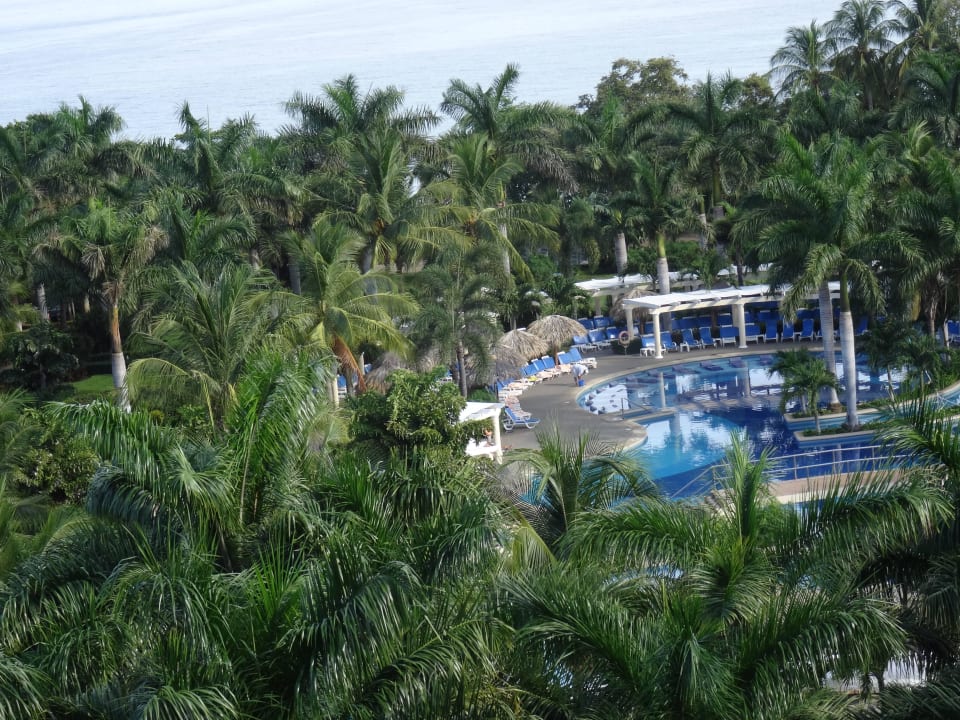 Ausblick auf den Pool Hotel Riu Guanacaste