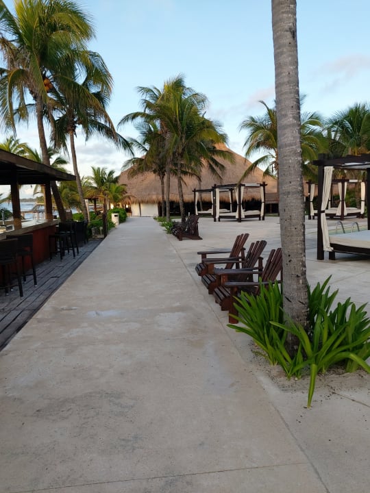 Gartenanlage Akumal Bay Beach & Wellness Resort
