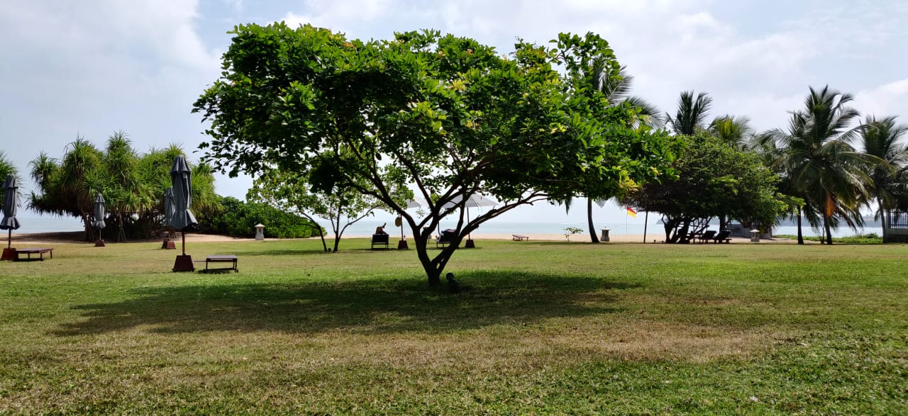 Gartenanlage Anantaya Resort & Spa Passikudah