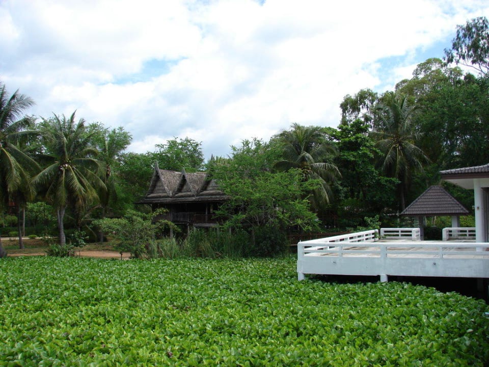 Lakeside Pavillion The Regent Cha Am Beach Resort