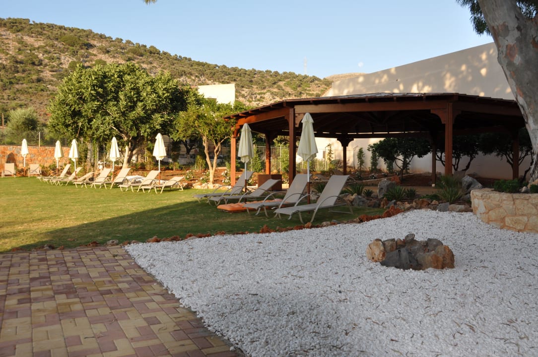 Liegewiese Cactus Royal