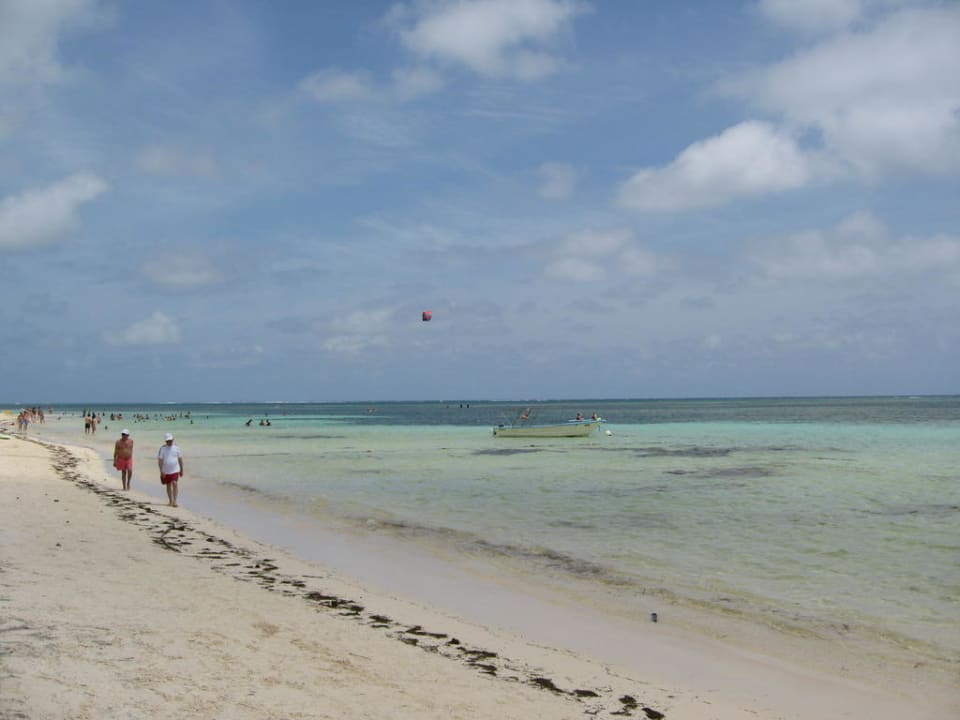 Strand  Catalonia Royal Bavaro - Adults only