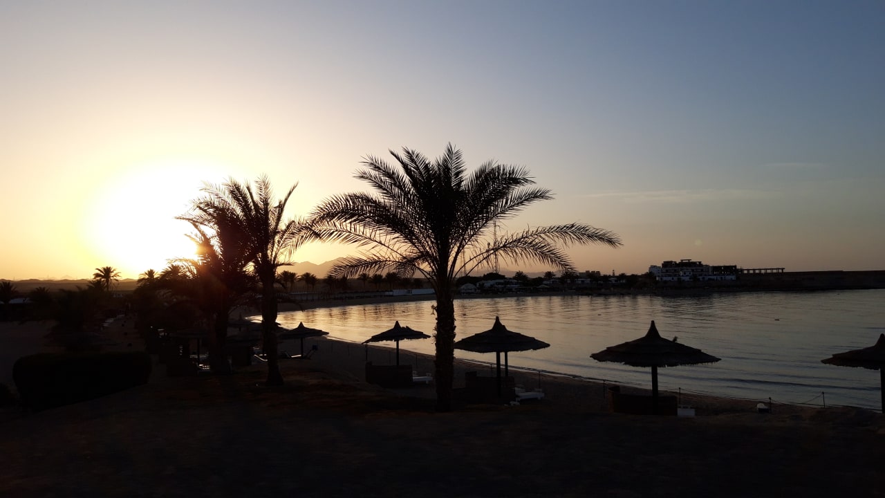 Strand Coral Sun Beach