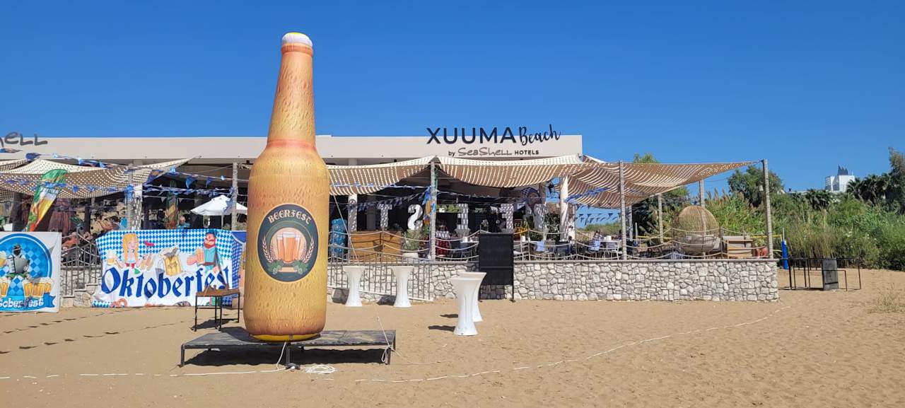 Strand Seashell Vega