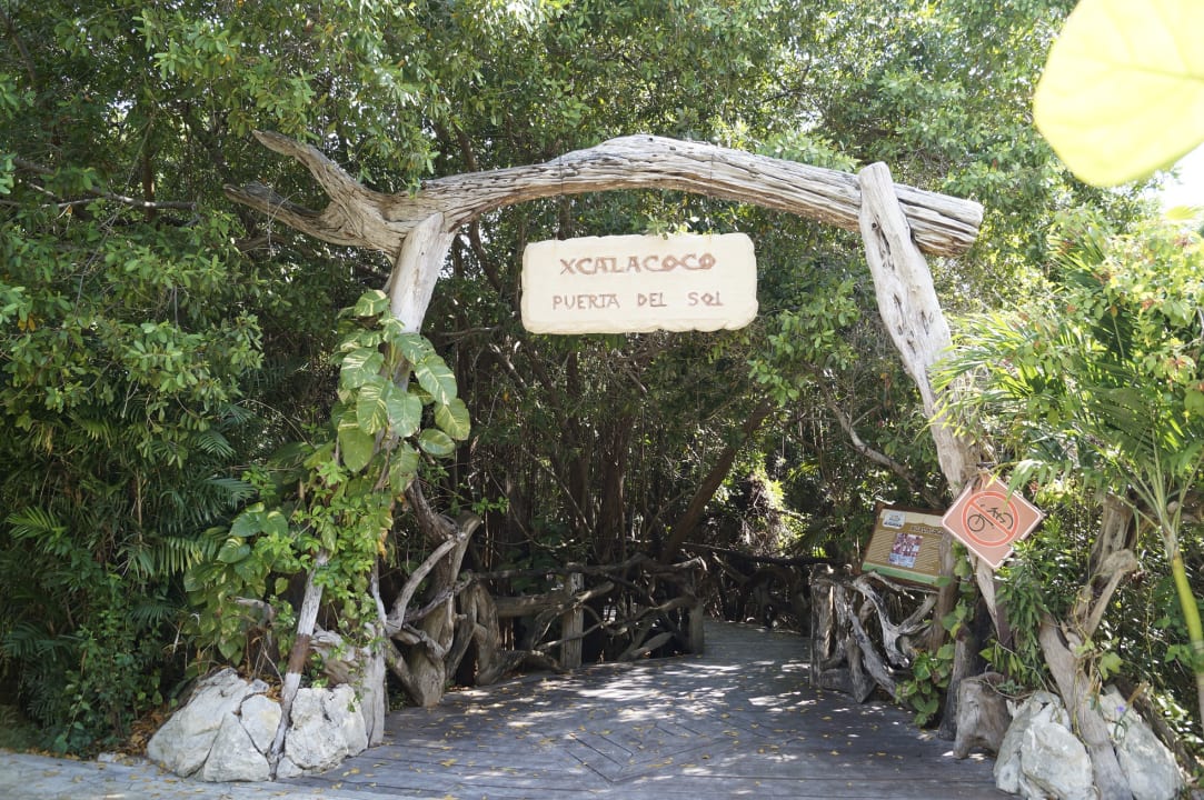 Gartenanlage Sandos Caracol Eco Resort