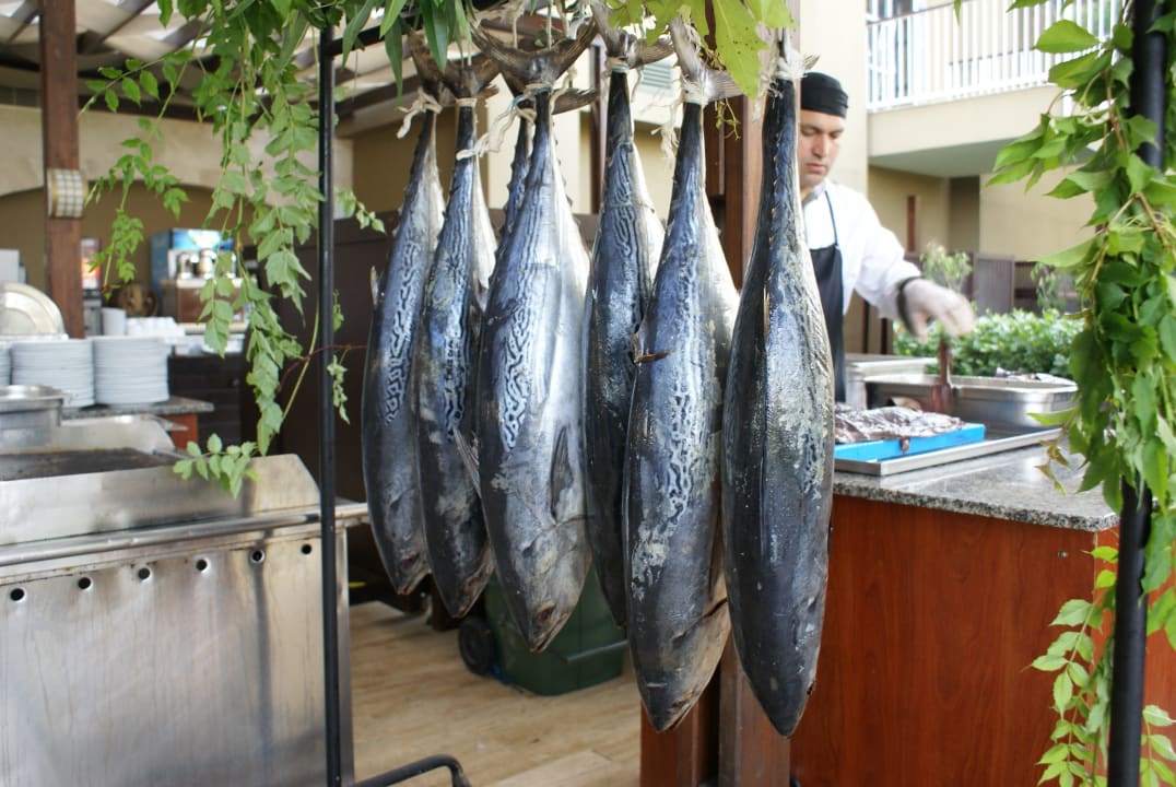 Где вы еще попробуете такого тунца?! Marvida Family Eco