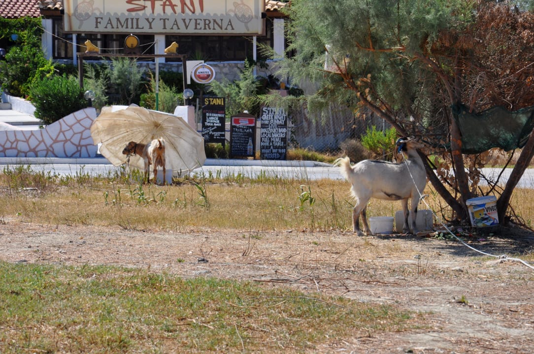 W drodze na plażę :) SuneoClub Cavo D'Oro Hotel