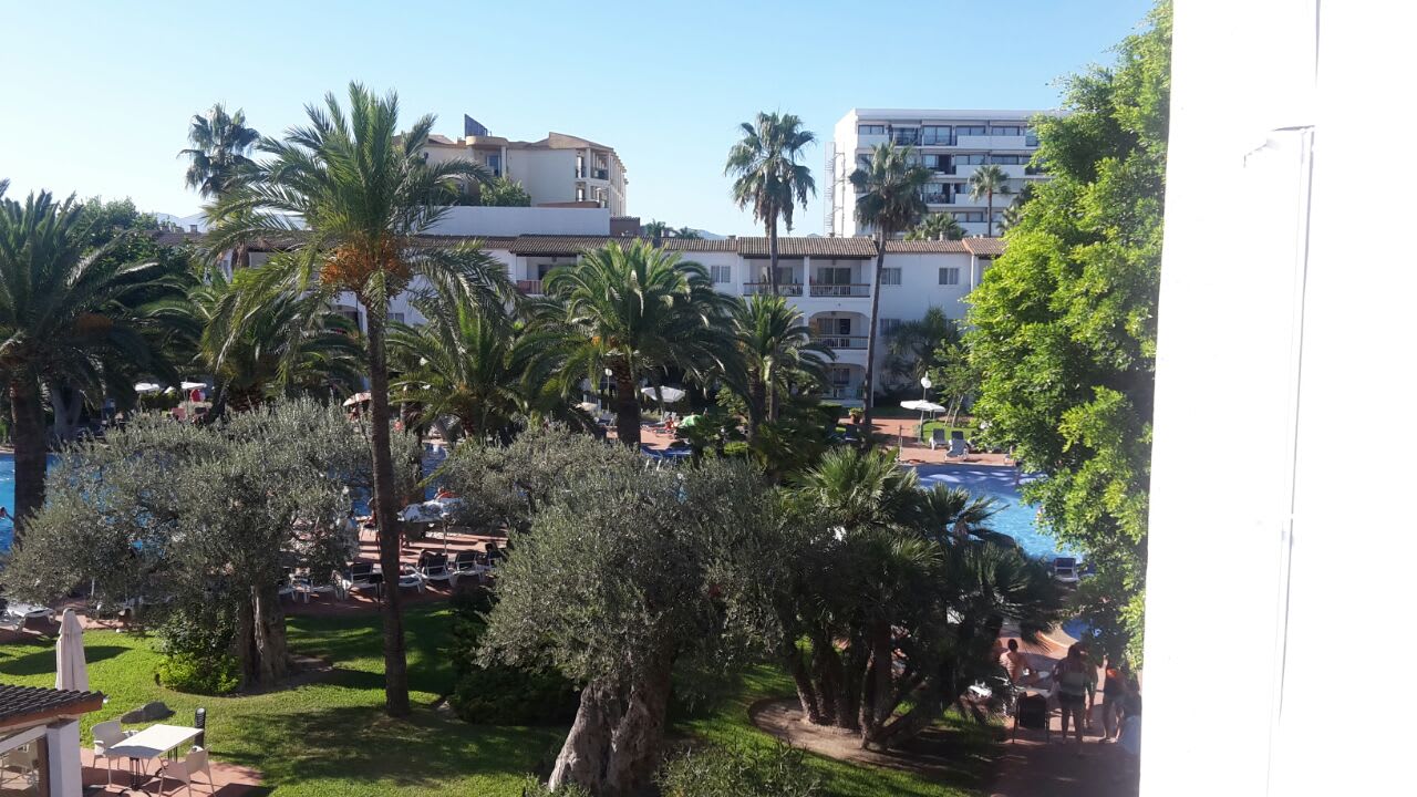 Ausblick Alcudia Garden Aparthotel