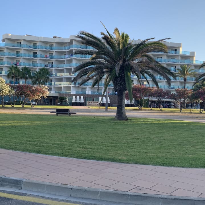 Außenansicht Hipotels Cala Millor Park