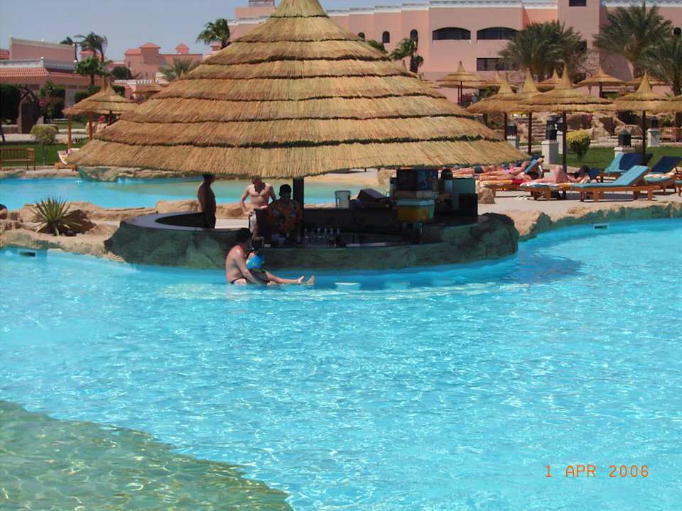 Swim Up Bar Beach Albatros Resort