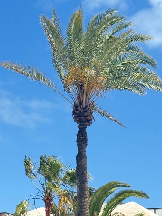 Außenansicht H10 Ocean Suites