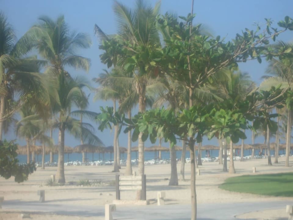 Wunderschönes Urlaubsfeeling Salalah Rotana Resort