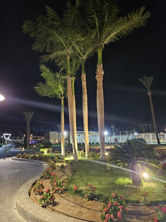 Außenansicht Beach Albatros Resort
