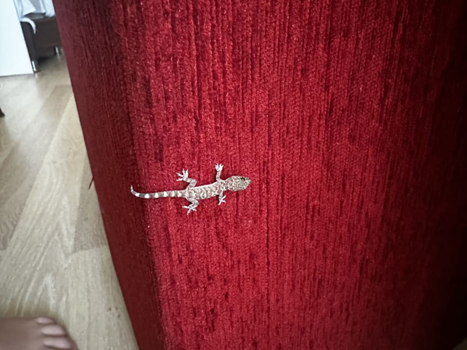 Sonstiges Hane Family Resort