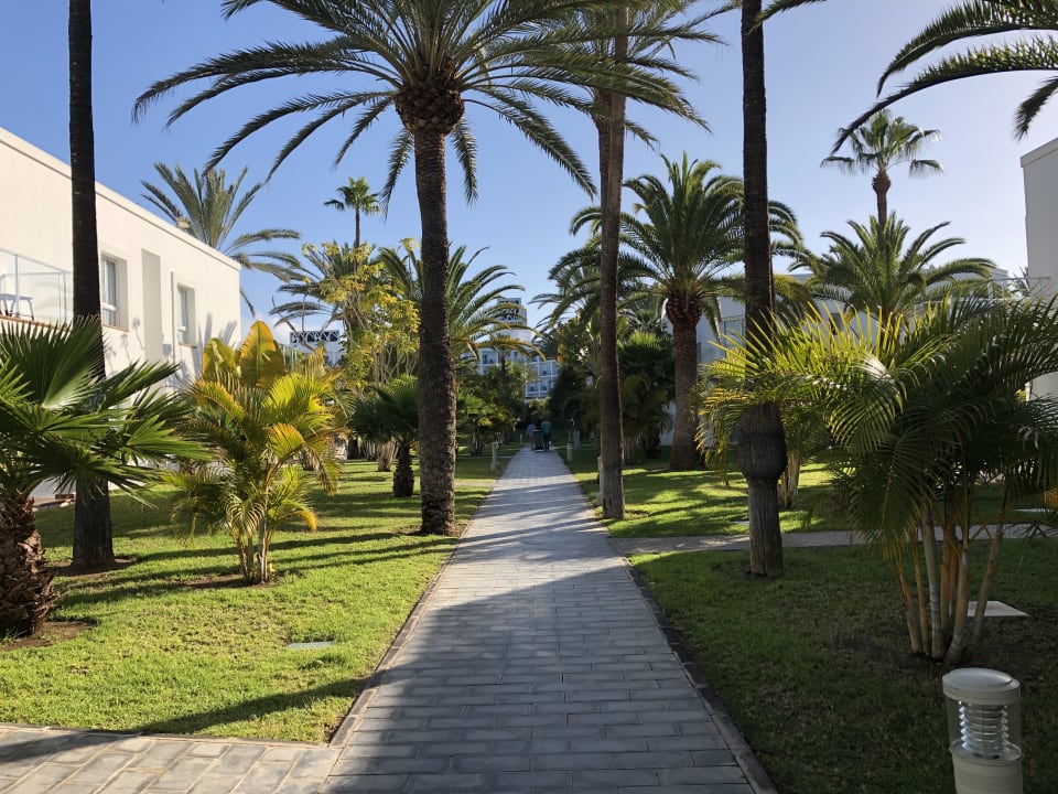 Gartenanlage Hotel Riu Palace Meloneras