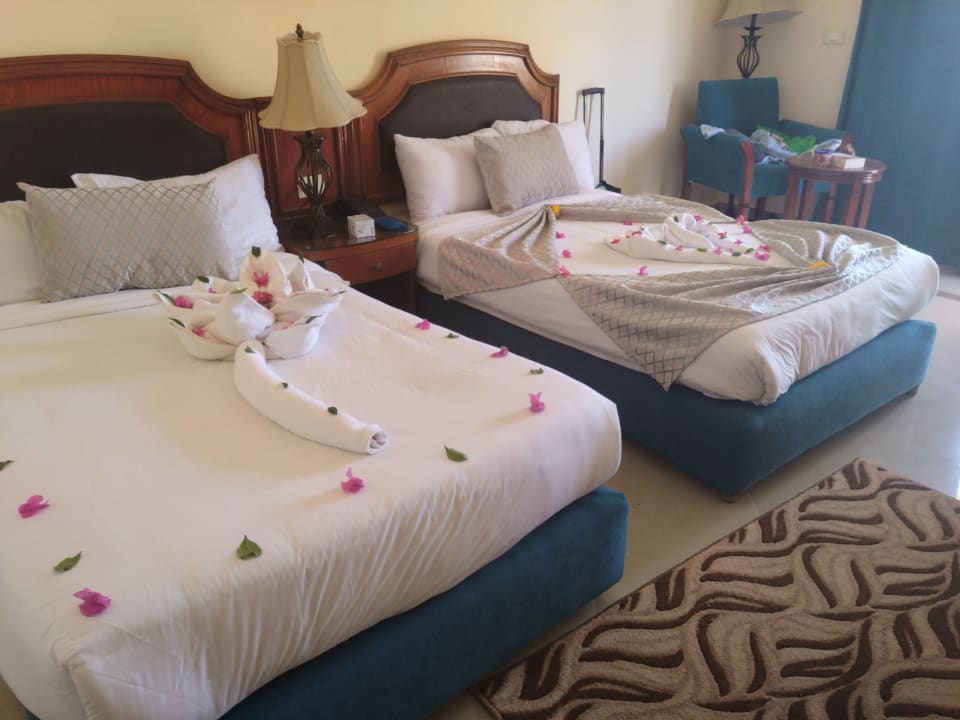 Zimmer Coral Hills Resorts & SPA