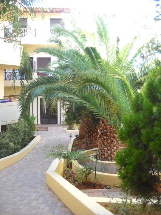 Hotel Cactus Beach