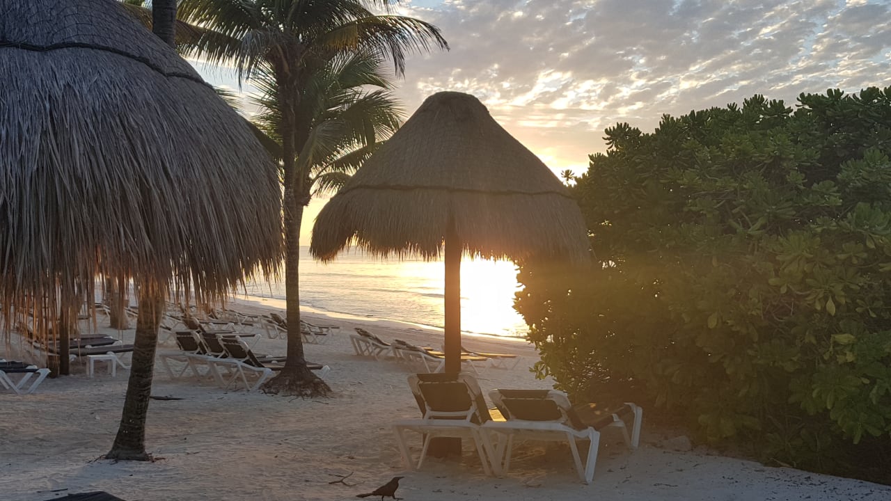 Strand Grand Palladium Kantenah Resort & Spa