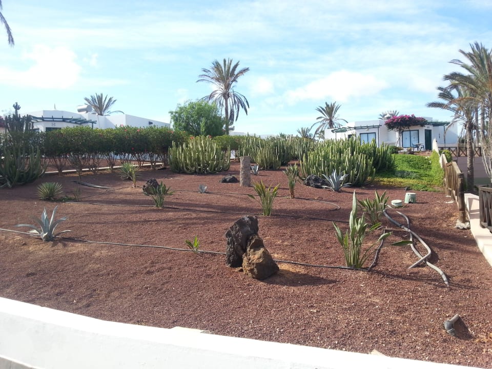 Garten Hotel HL Club Playa Blanca