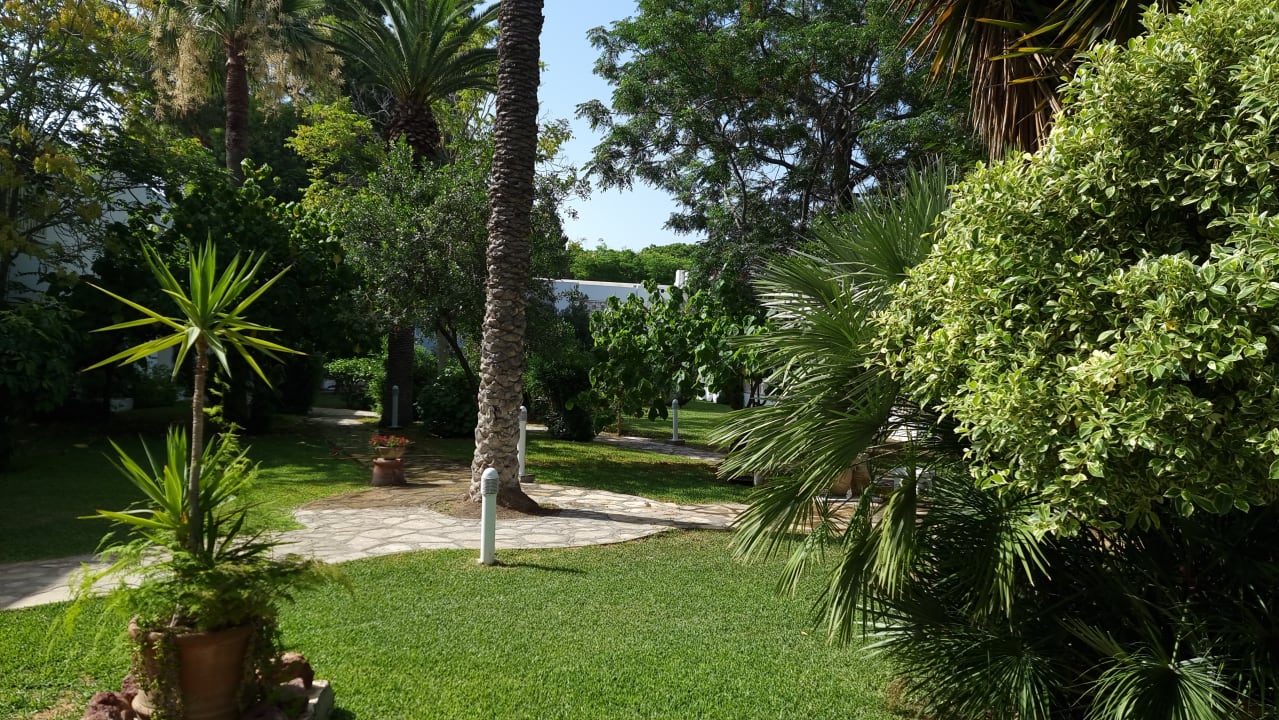 Gartenanlage The Orangers Beach Resort and Bungalows