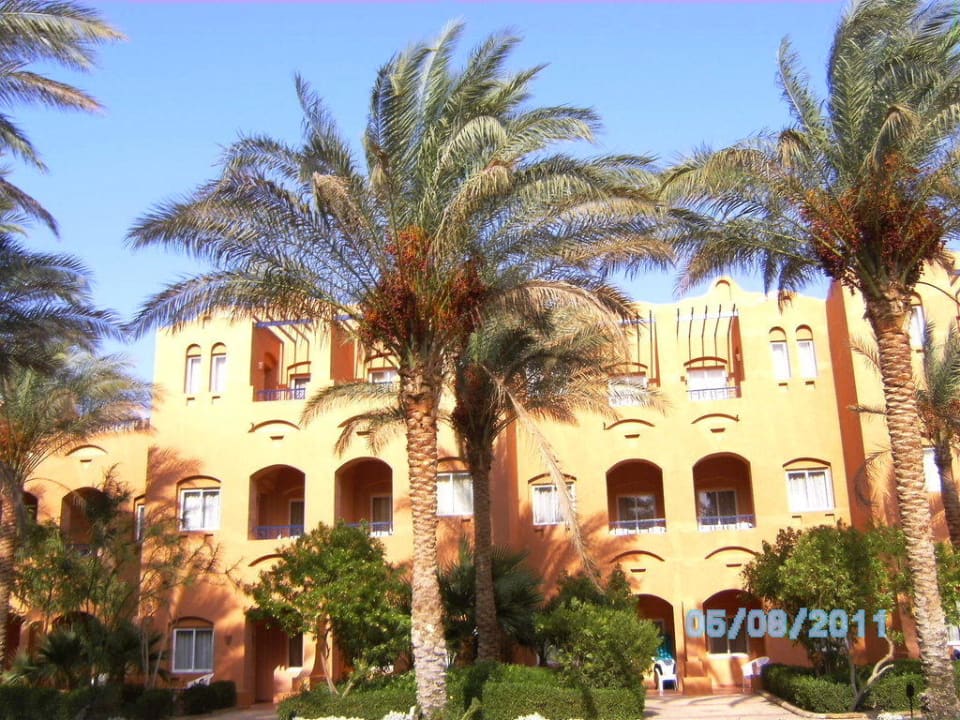 Zimmer zum Pool Jaz Makadi Oasis Resort