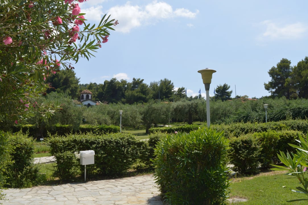 Alejki Hotel Athos Palace