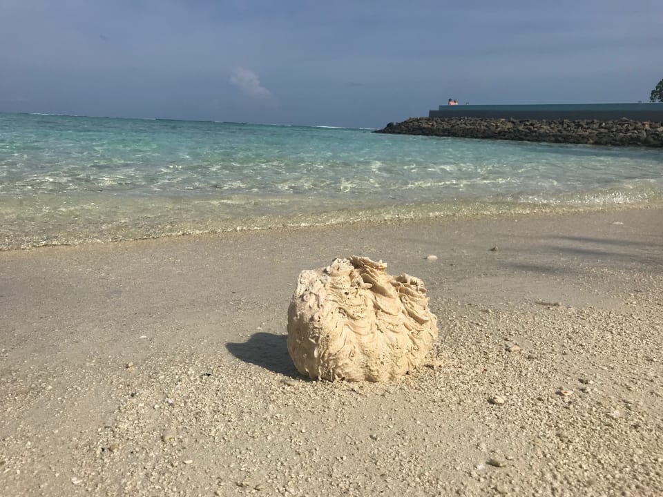 Strand Summer Island Maldives