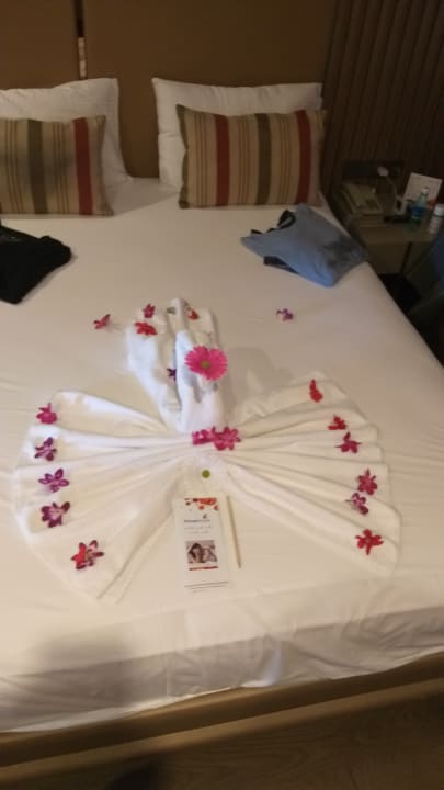 Zimmer Arycanda Kirman Premium