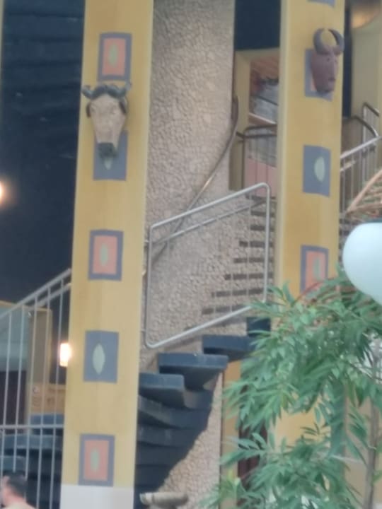 Sonstiges Center Parcs Park Nordseeküste