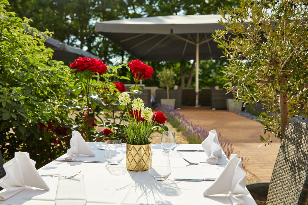 Gastro Hotel Acamed Resort