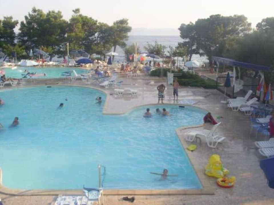Pool Bluesun Hotel Neptun