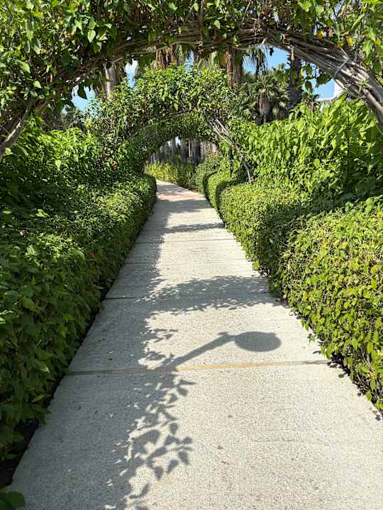 Gartenanlage Royal Atlantis Beach Hotel