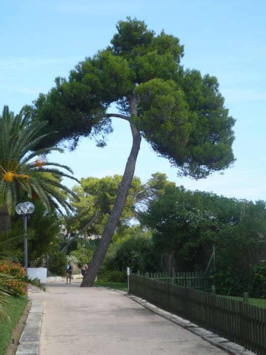 Weg zum Strand Hotel Exagon Park