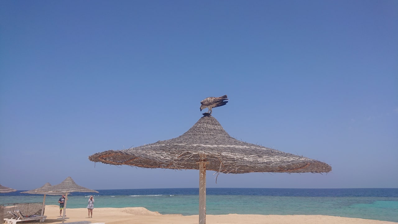 Strand Wadi Lahmy Azur Resort