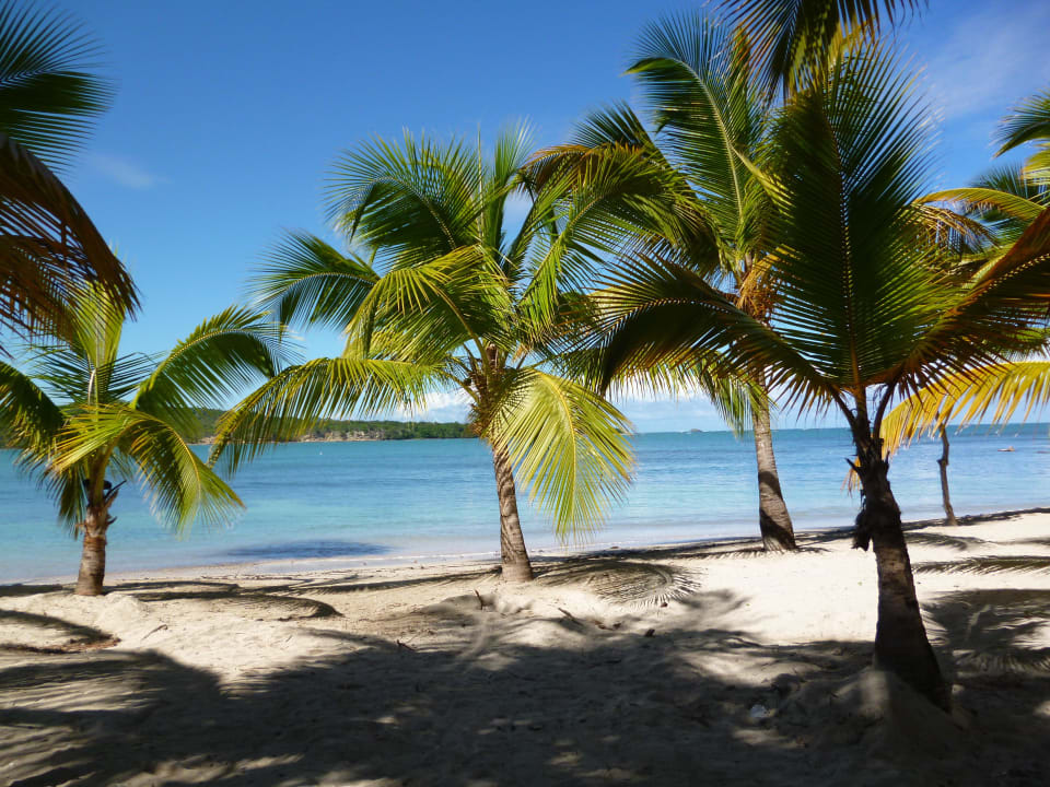 Kleiner Strand am "Bachata" Playabachata Hotel
