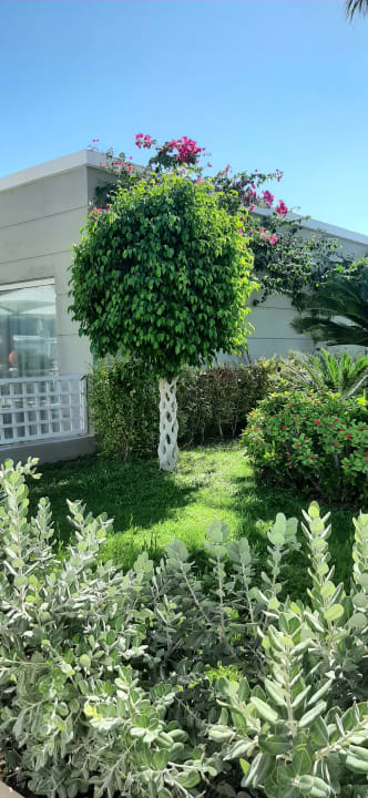 Gartenanlage Mitsis Rodos Village
