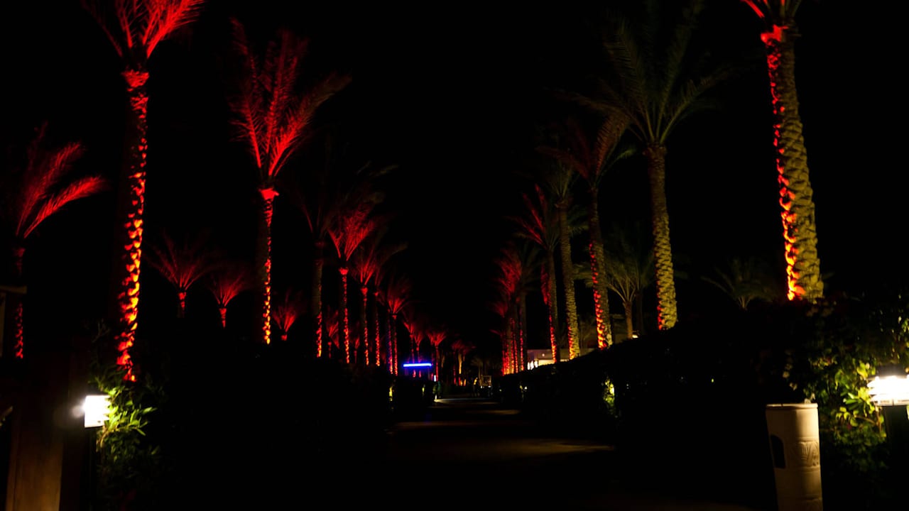 1 Rixos Sharm El Sheikh Adults Only 18 +