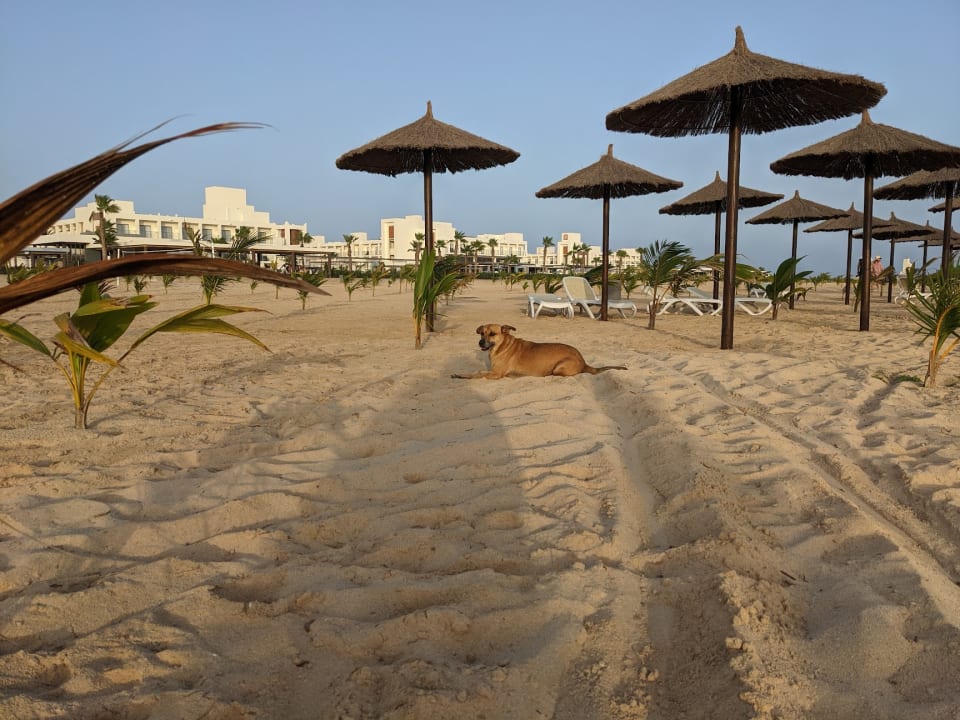 Strand Hotel Riu Palace Santa Maria